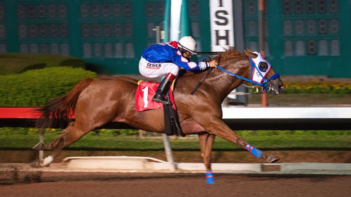 Two-Time Champion Of Champions Winner Empressum Dies Following Los Alamitos Race 