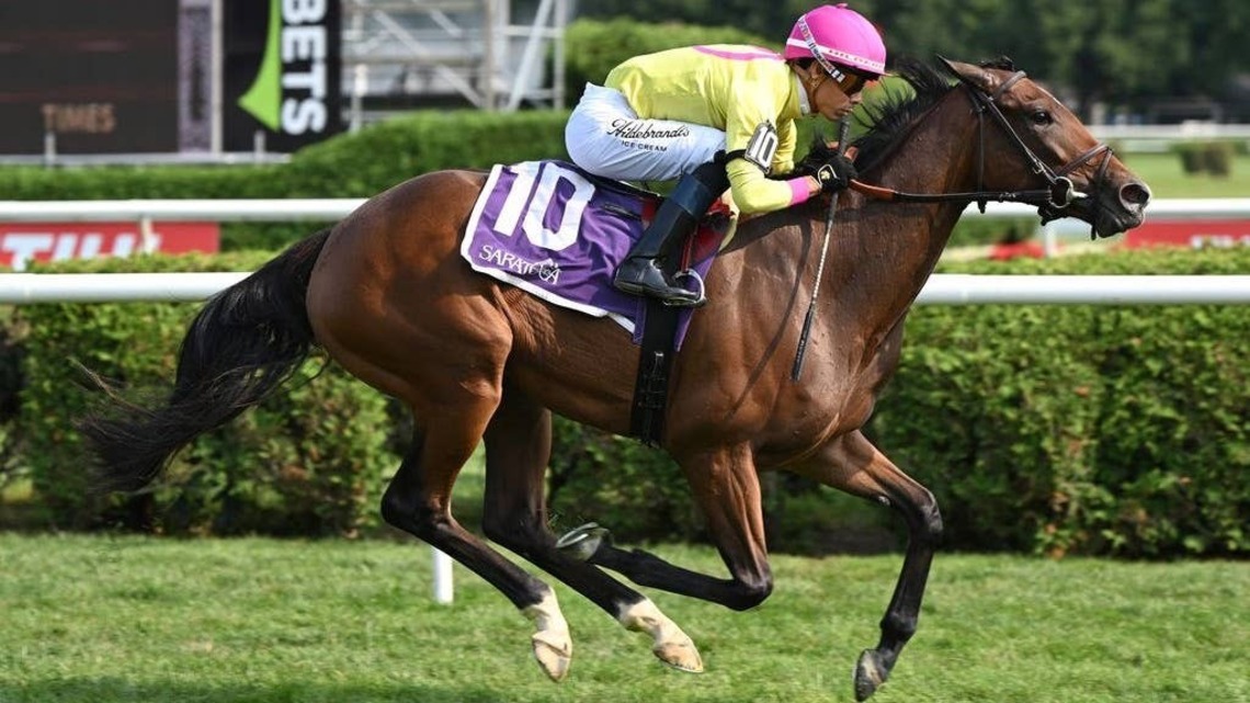 Yolo Train Set For Stakes Bow In Matron 