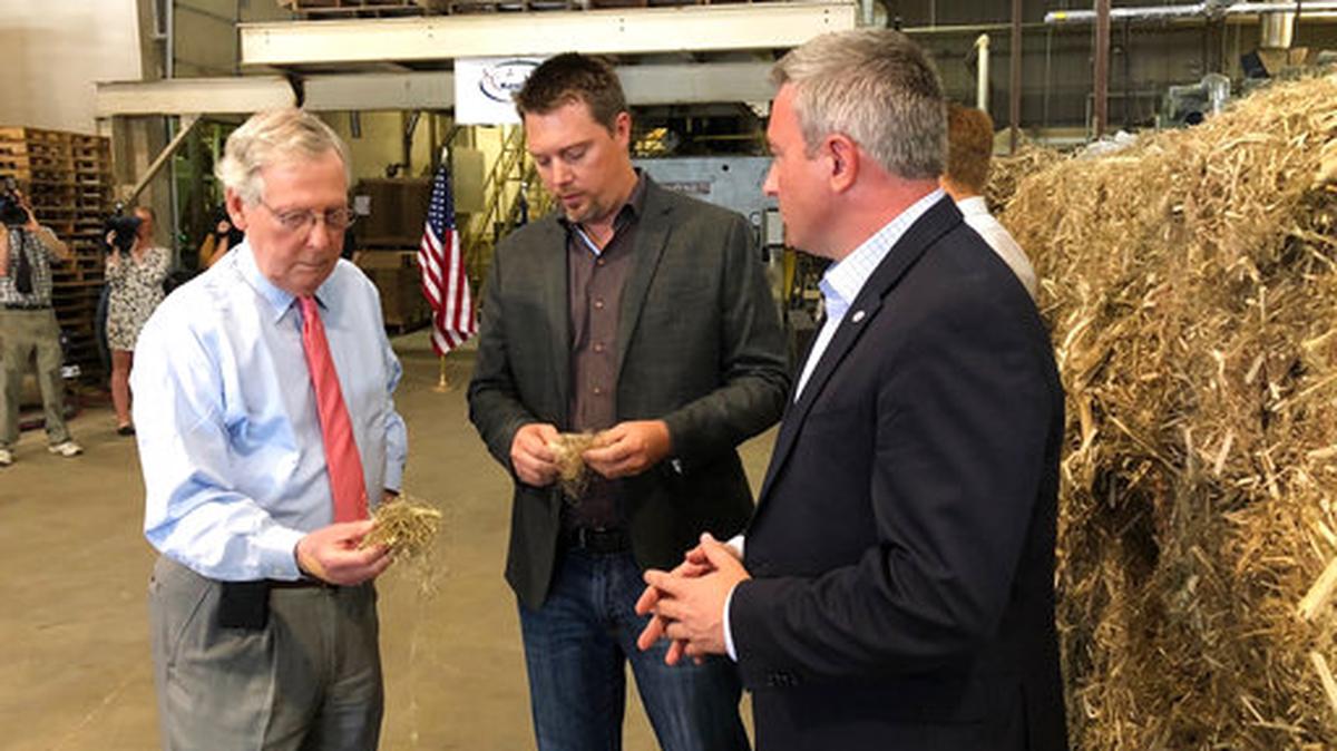 FILE - In a Thursday, July 5, 2018 file photo, Senate Majority Leader Mitch McConnell, left, inspects a piece of hemp taken from a bale of hemp at a processing plant in Louisville, Ky. McConnell has guaranteed that his proposal to make hemp a legal agricultural commodity, removing it from the federal list of controlled substances, will be part of the final farm bill.