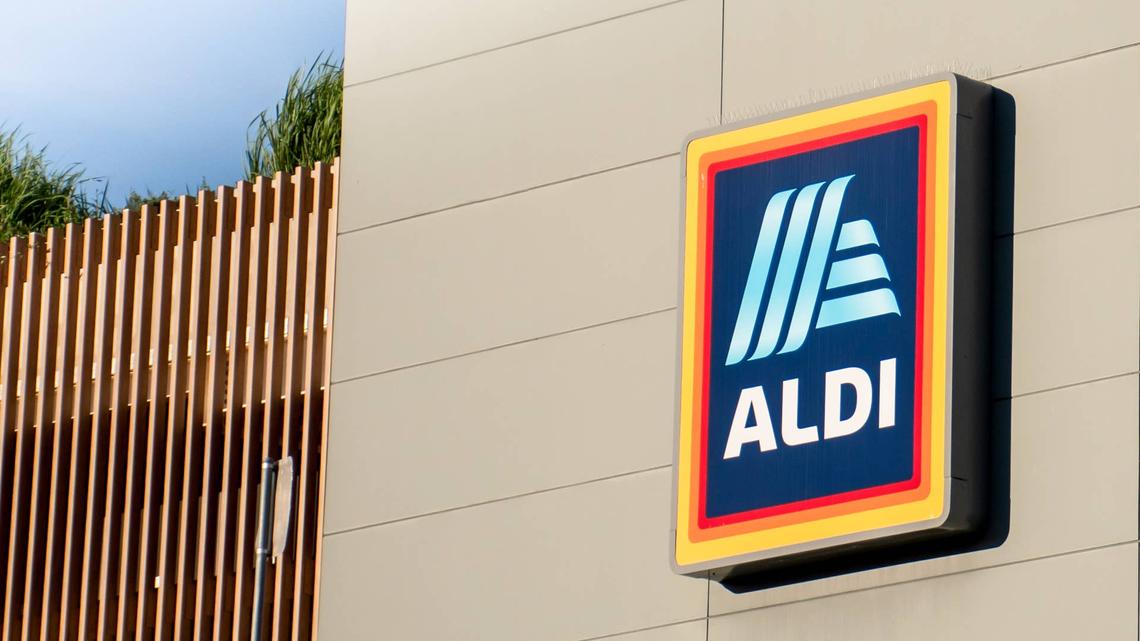 Aldi's $7 Bug Repellent Fan Is the Chicest Way to Keep Pests Away This Summer 
