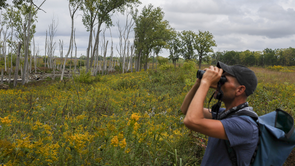 Forest Preserves of Cook County spent extra $40 million yearly on expanded conservation, maintenance 