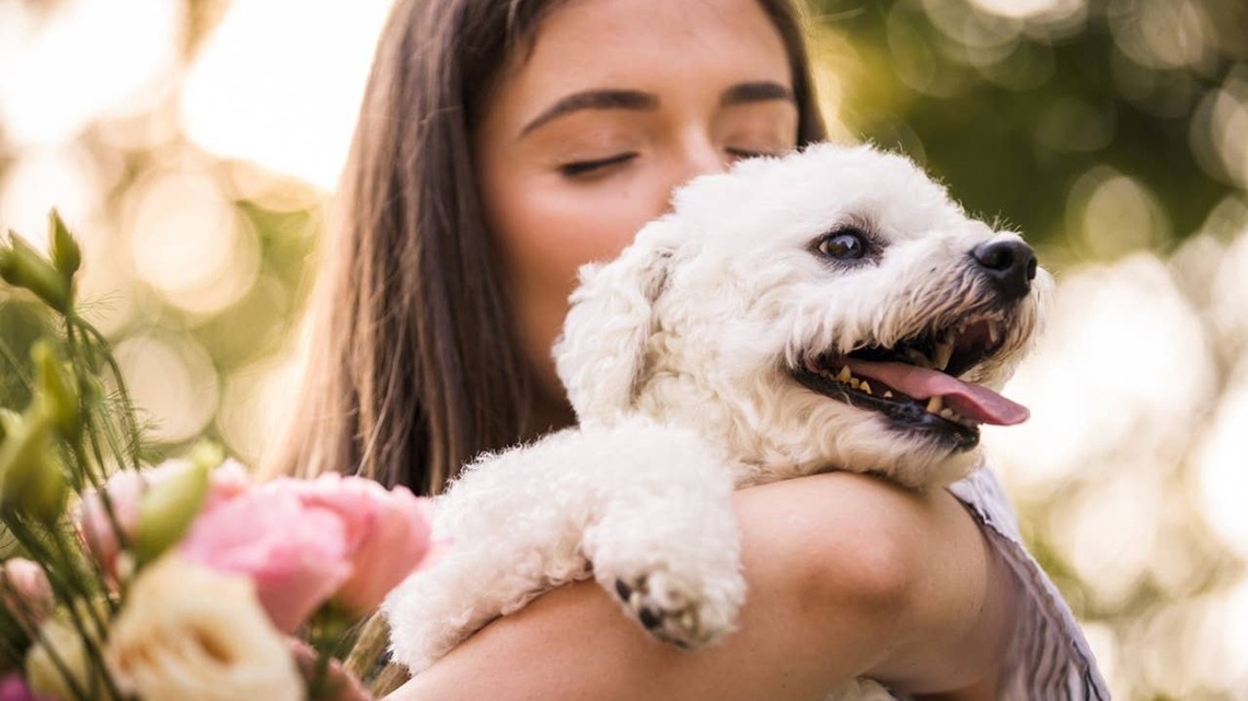 7 Dog Breeds That Can Make Your Life Feel Less Lonely, According to Vets 
