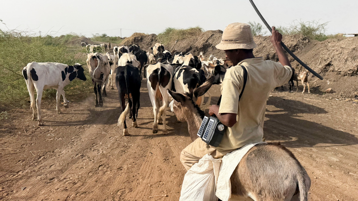 New famine risk haunts war-torn Sudan with El Niño-driven drought