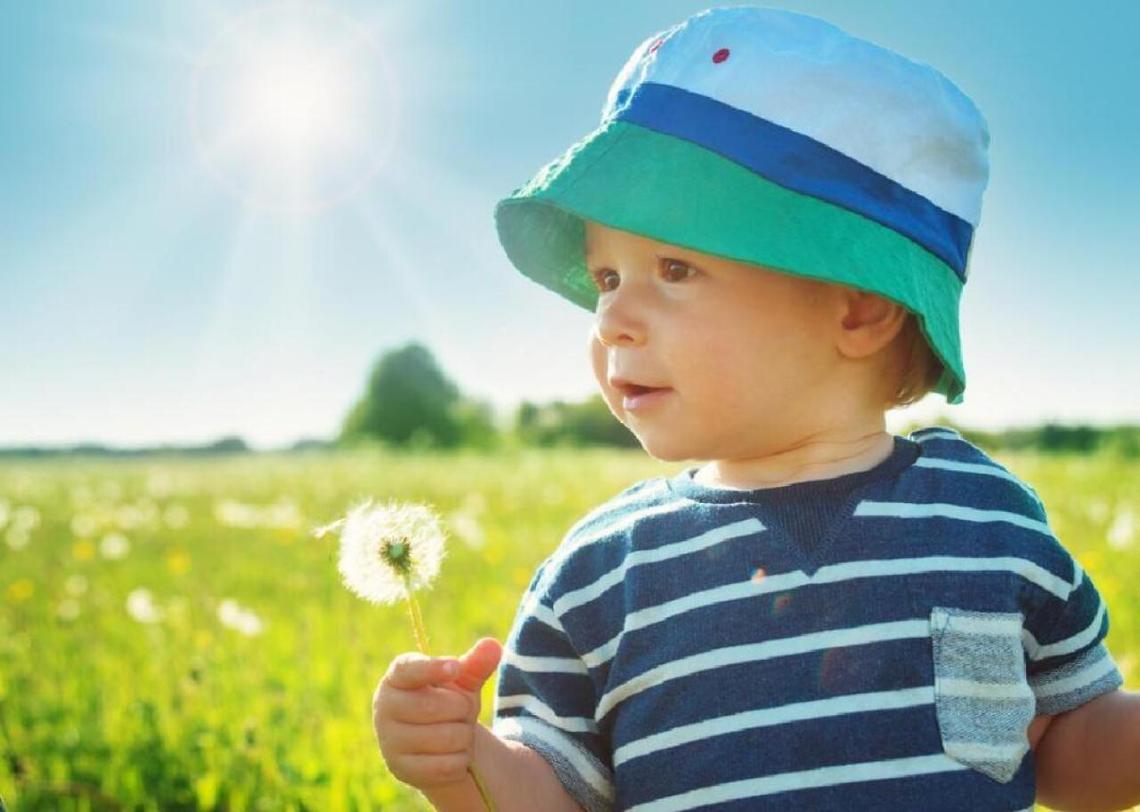  Anna Grigorjeva // Shutterstock 