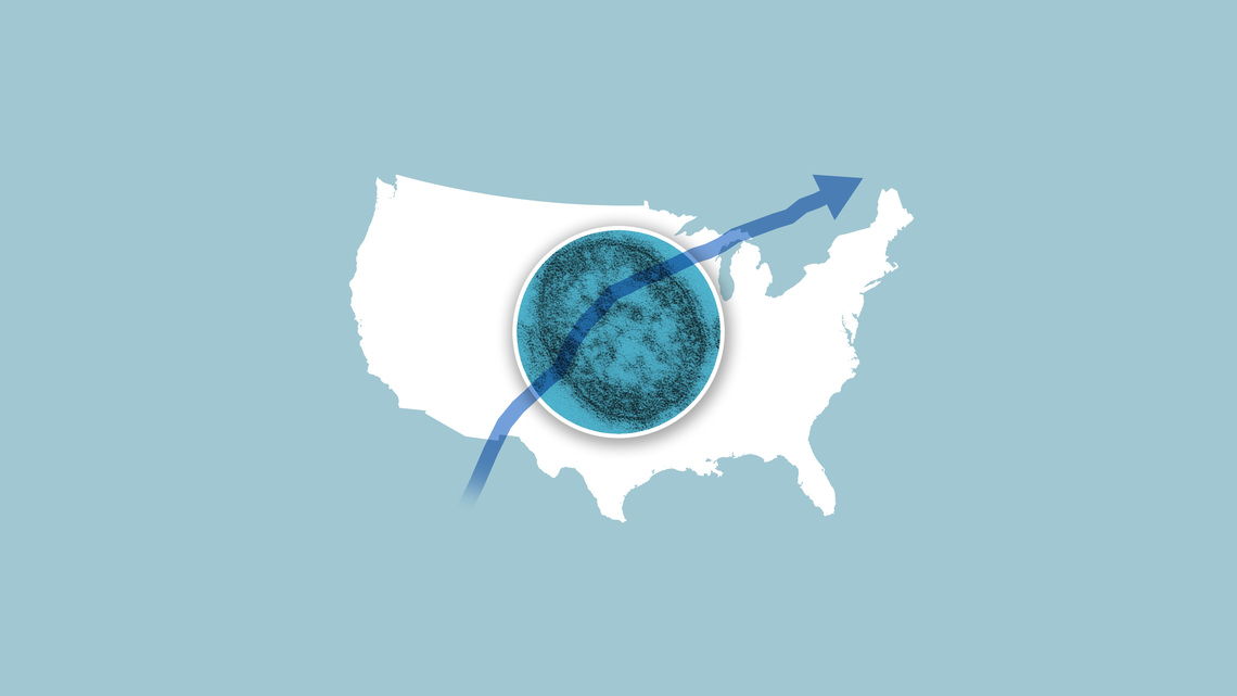 Graphics capture the resurgence of measles, once eliminated in the US 