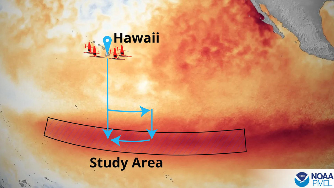 An unprecedented El Niño sends scientists scrambling for answers