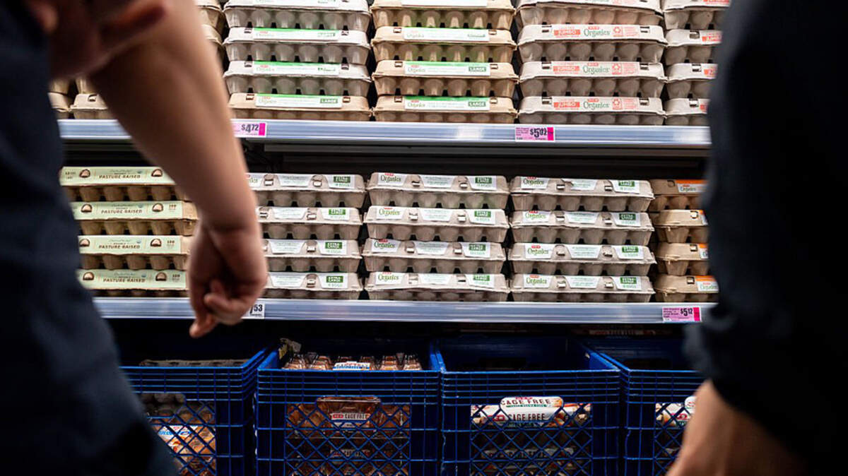 DOJ, states reach deal with egg producers on price manipulation inquiry