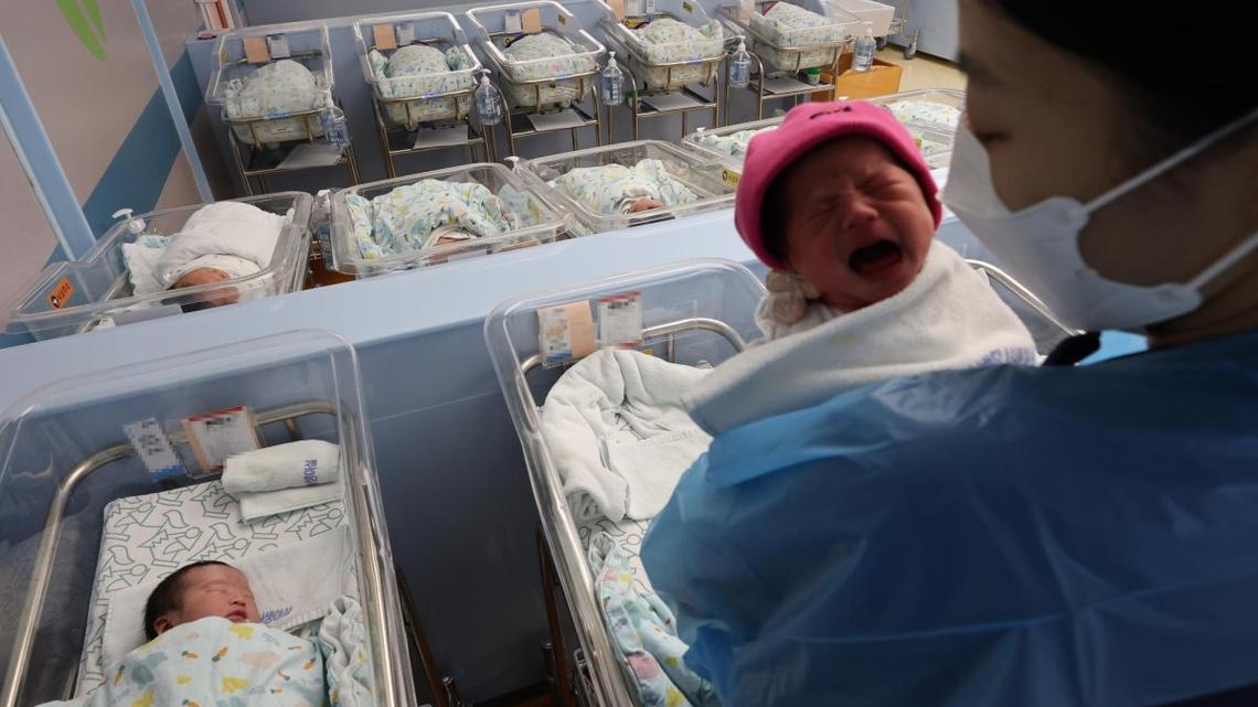 Childbirths grow at record high pace in Feb.: data 