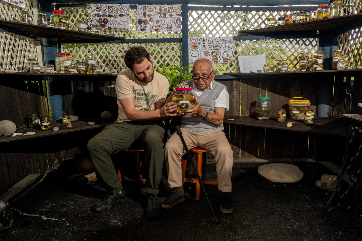 The American scientist Alex Bentley, left, and the farmer and snake collector Manuel Genaro Peñafiel examine a specimen of Bothrops atrox, a species they're both particularly fond of, in the makeshift museum which houses Peñafiel's snake collection in Mera, Ecuador, on April 6, 2026. Bentley says he was "blown away" by Peñafiel's collection. (Johanna Alarcon/The New York Times)