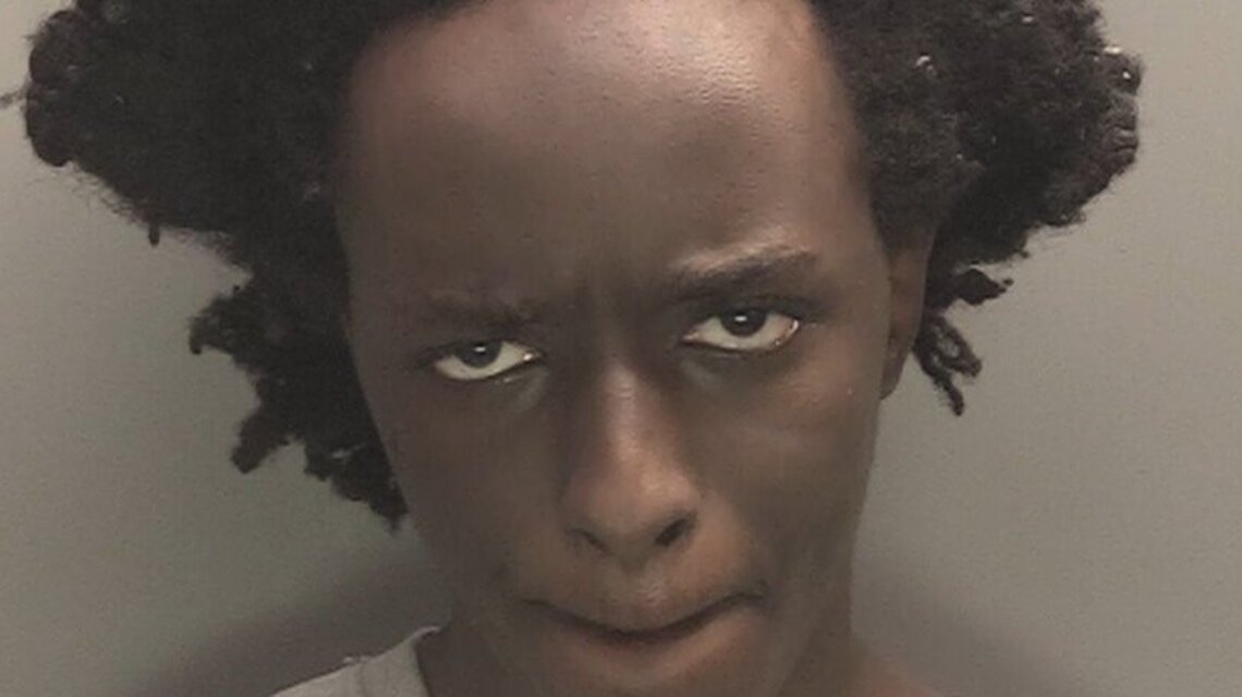 Southport killer charged with aggravated battery, weapons offenses 