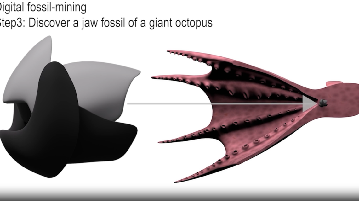 ‘Kraken-like' giant octopuses ruled oceans 100 million years ago