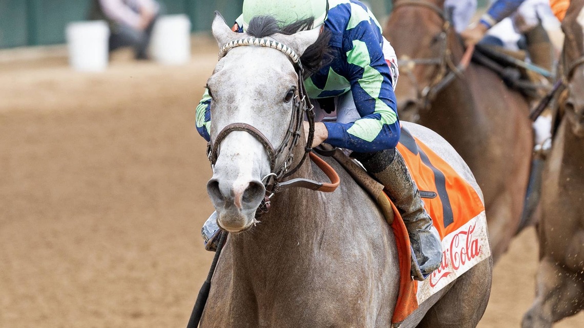 Beauty Reigns Aims For Stakes Breakthrough In Gallant Bloom