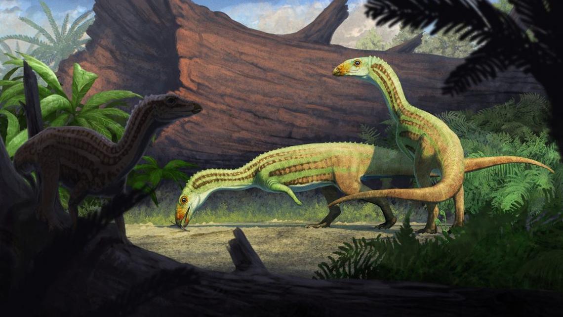 Artist's reconstruction of Sonselasuchus cedrus in its environment in what is now Petrified Forest National Park, 215 million years ago. (Artwork by Gabriel Ugueto via SWNS). 