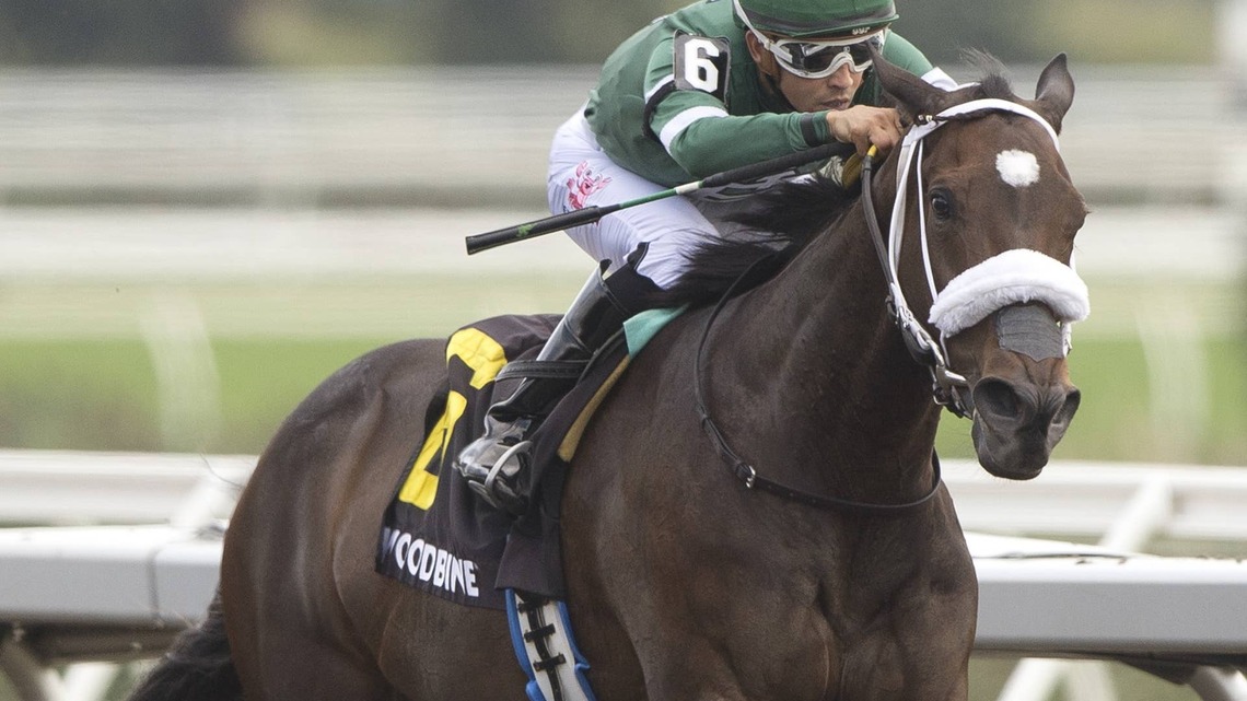 Reagan's Flame Earns Second Woodbine Stakes With Seaway Score