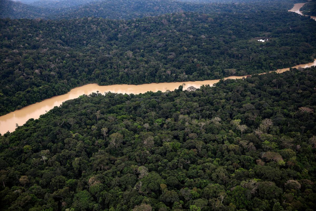 An aerial view shows Antonia da Silva Santos Galvao, mining permit area (PLG) in the Amazon rainforest during a Greenpeace flyover in the municipality of Itaituba, Para state, Brazil, May 20, 2026. REUTERS/Adriano Machado