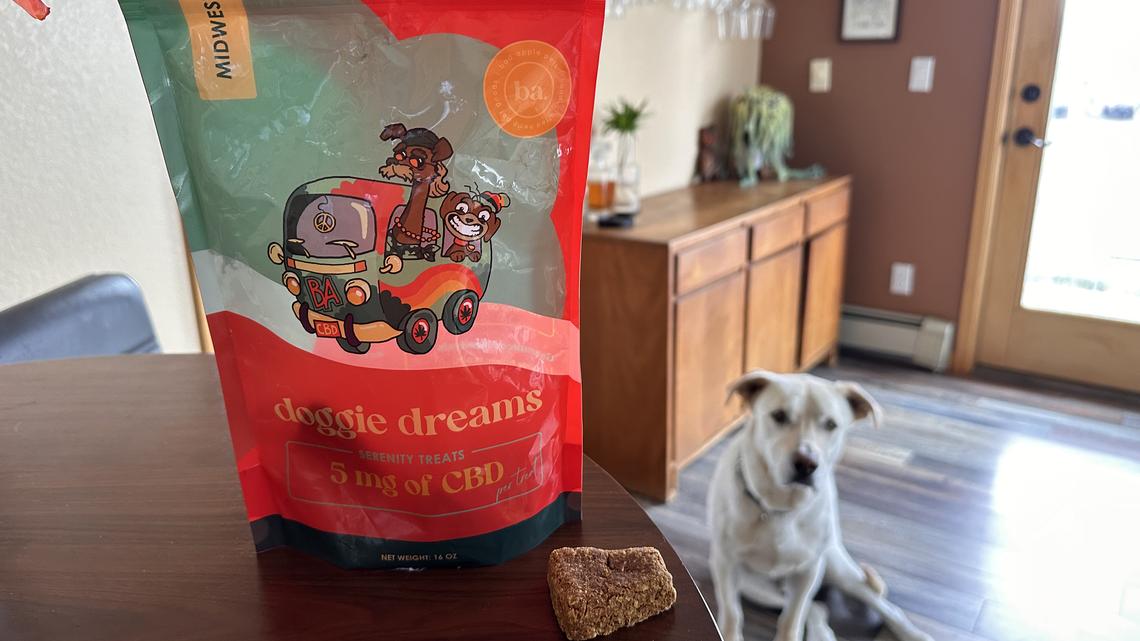 These CBD dog treats are a staple in my pet pantry for surgery recovery and beyond 