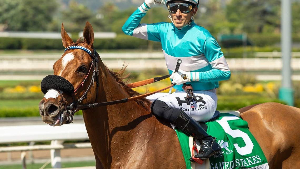 Thought Process Highlights Rodeo Drive Stakes 