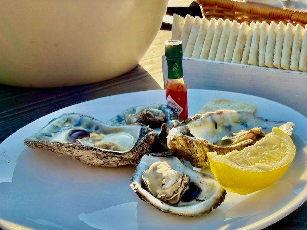  Welcome Party begins with oysters on the half shell at a classic oyster roast. Photo credit: Sharon Kurtz 