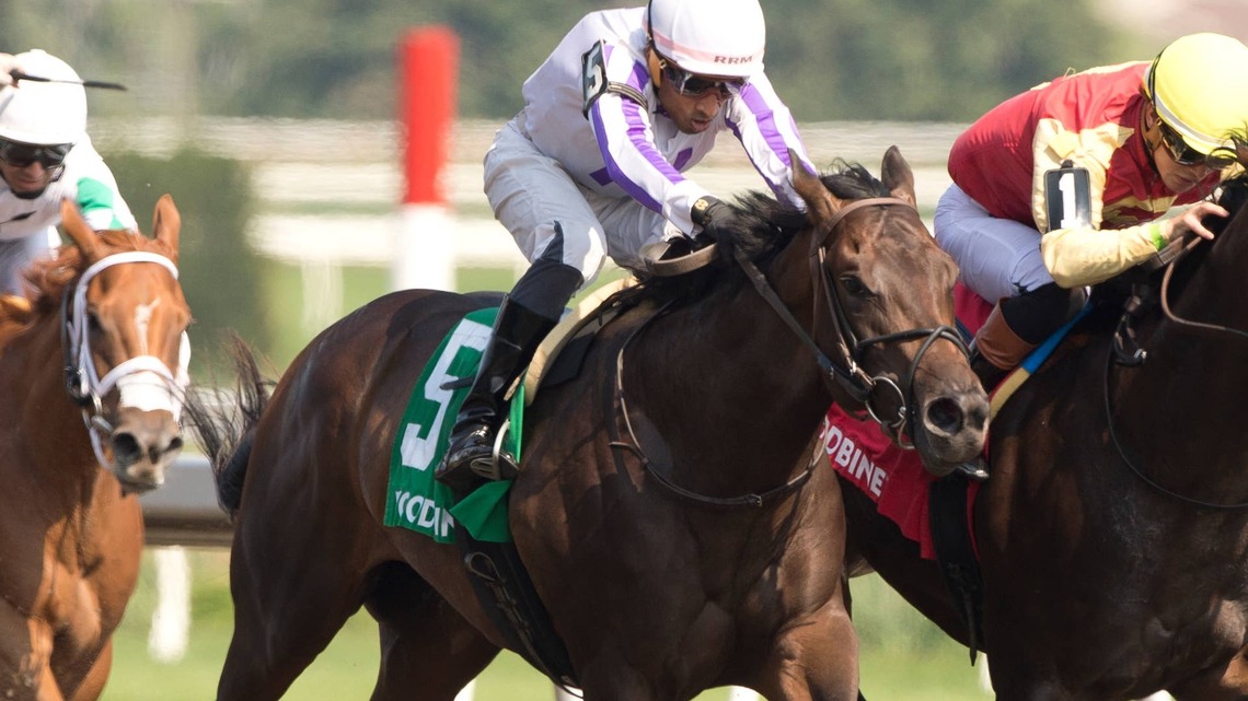 Uncle Dodo Takes To The Turf For Soaring Free Stakes