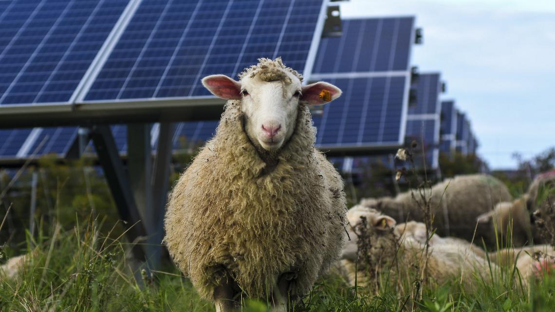 17 square miles of Benton County agricultural land may be home to this new kind of farm