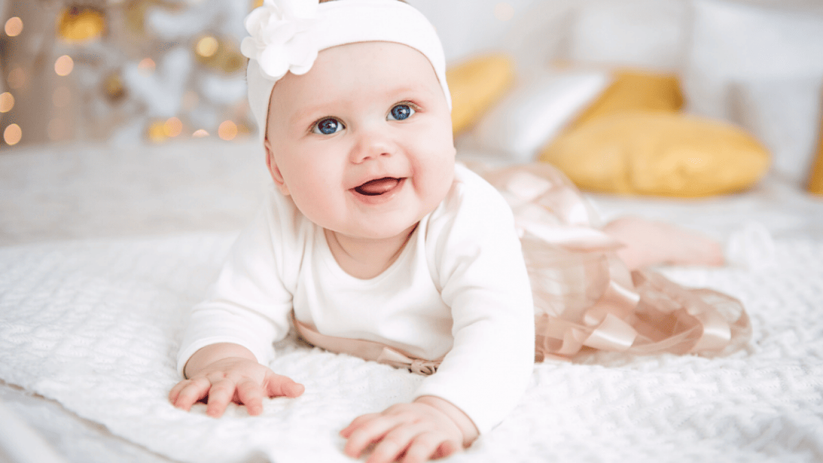  Dasha Muller // Shutterstock 