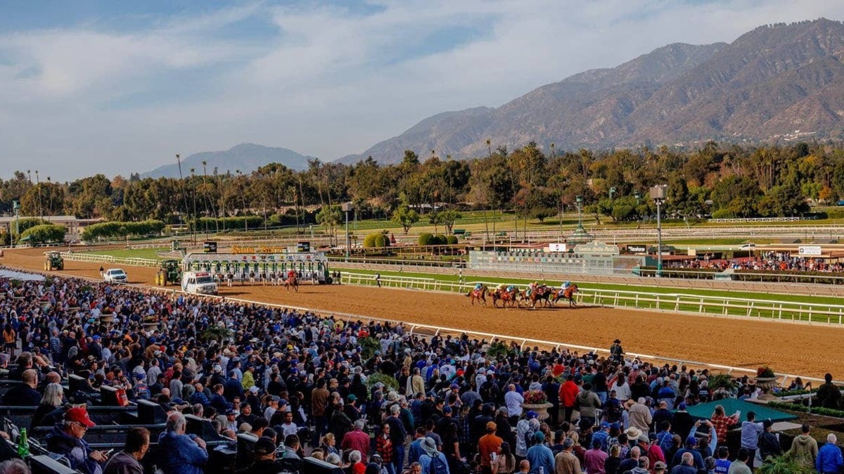 Santa Anita Adds $1 Place Pick 8 To Autumn Meet Wagering Menu