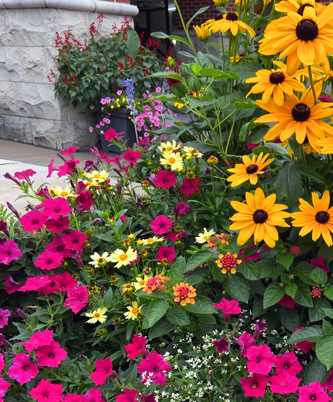 Handout/Norman Winter/TNS