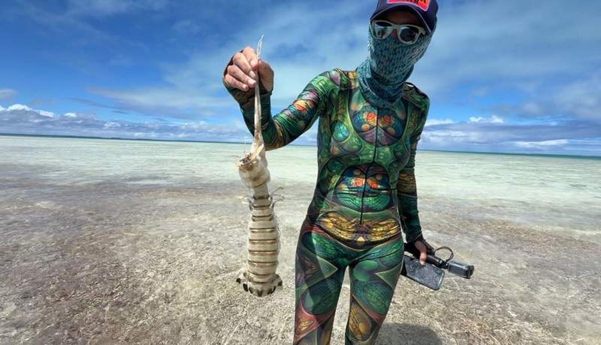  The tiger mantis shrimp is a popular local meal for the locals. Photo credit: Kinga Philipps 