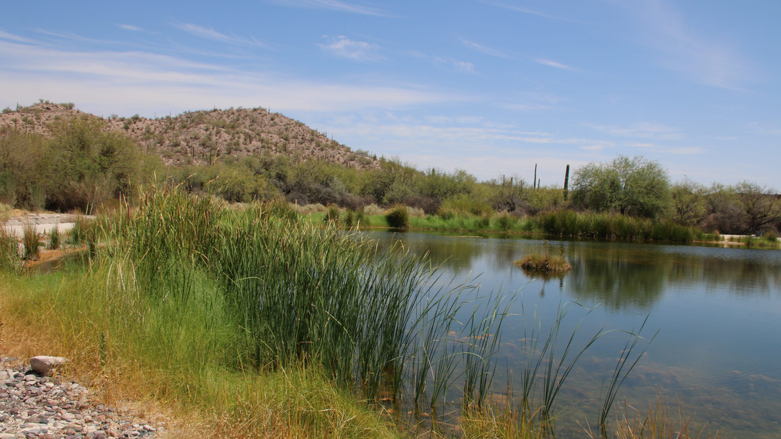 Masked agents enter Tohono O'odham lands to start wall construction