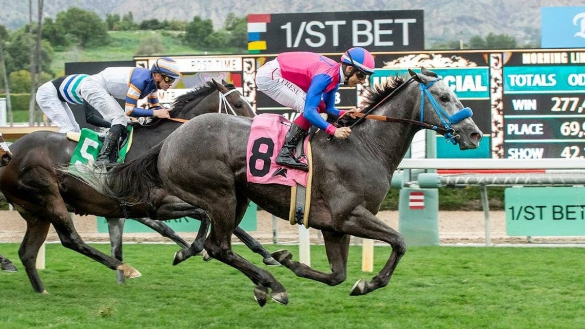 Lonesome Stew Favored In California Flag Handicap 