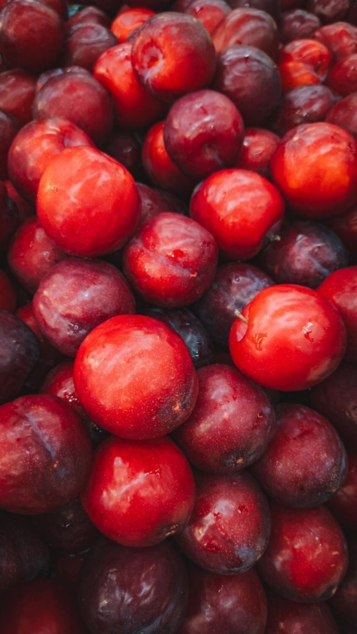 (Photo by Ivett M via Pexels) 