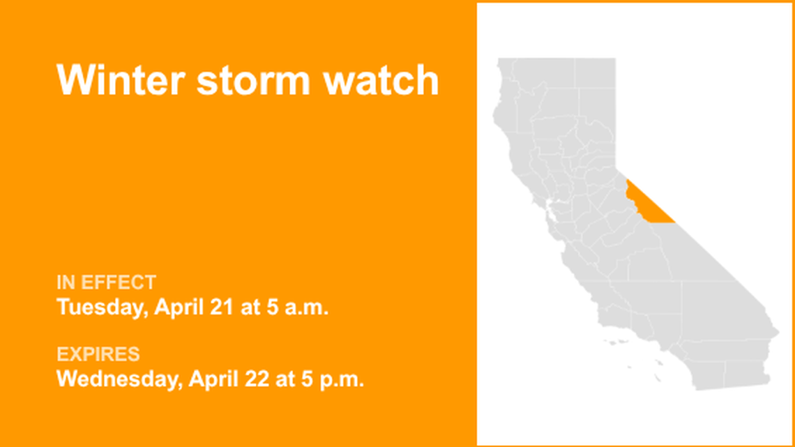 unitedrobots photography