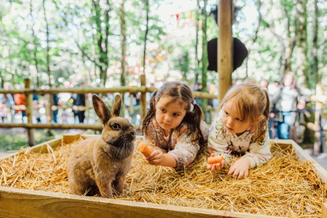  The park's petting zoo. (Continuum Attractions via SWNS) 