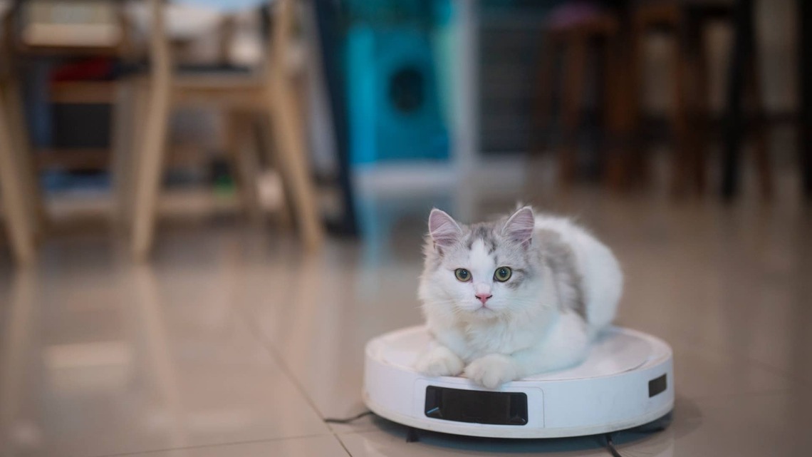 Could New U.S. Rules Ban Robot Vacuums? Here's What We Know 