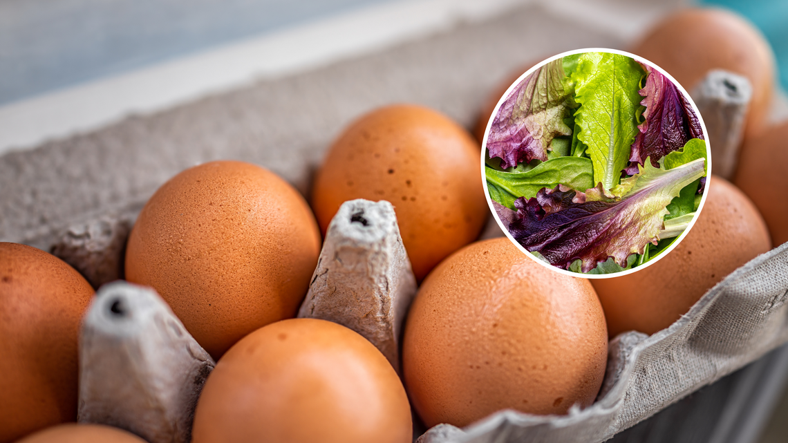 Cyclospora, Salmonella: How to Tell Symptoms Apart 