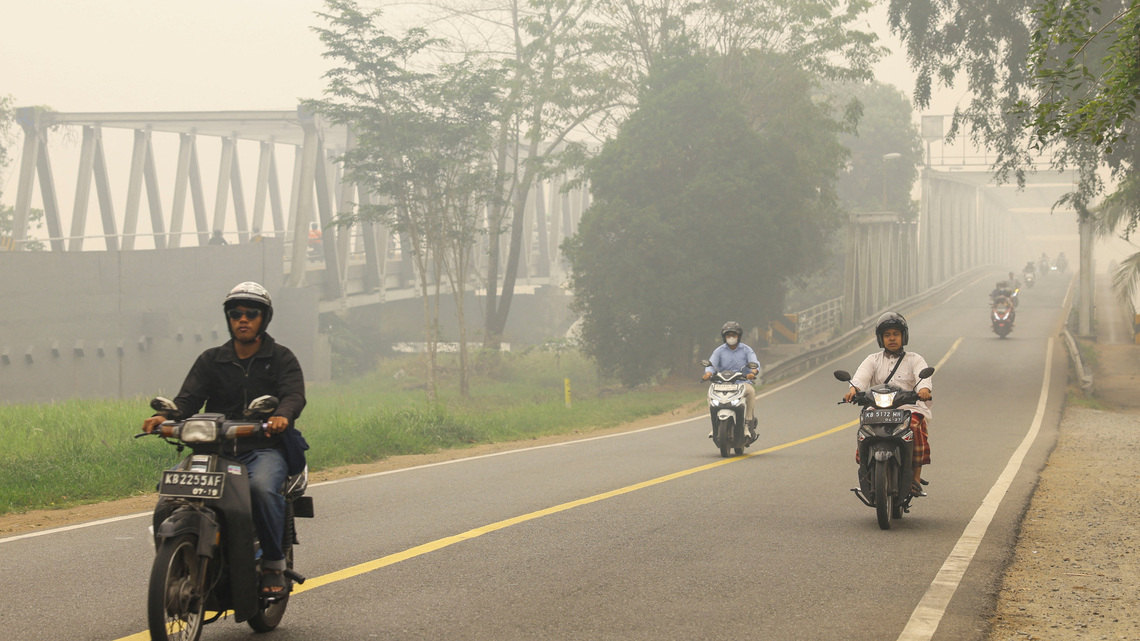 Indonesia's choking wildfire, haze worsen breathing woes on Borneo 