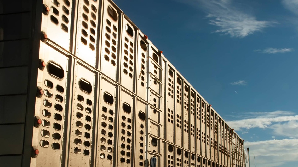 Keeping Pace: The Most Important Horse News Of The Week 