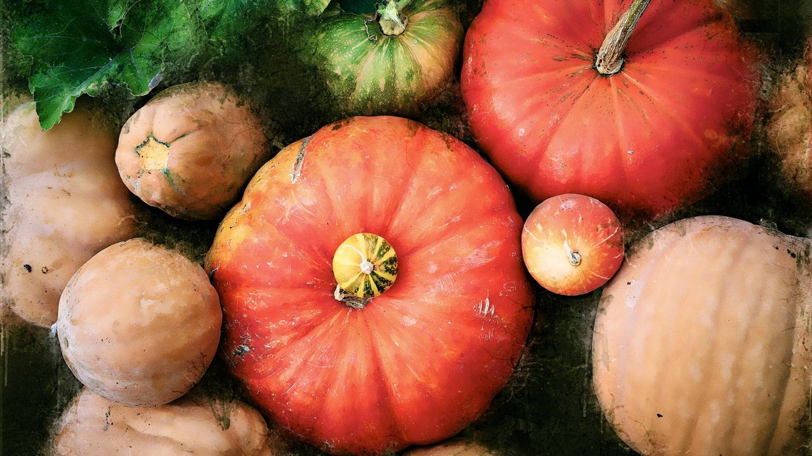 Give Your Pumpkins a 'Distressed' Look This Halloween for a Modern Twist Everyone Will Envy 