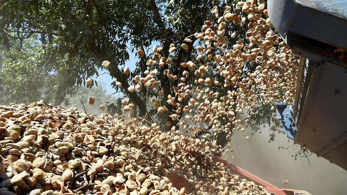 California farmers were already struggling. Then came the Iran war 