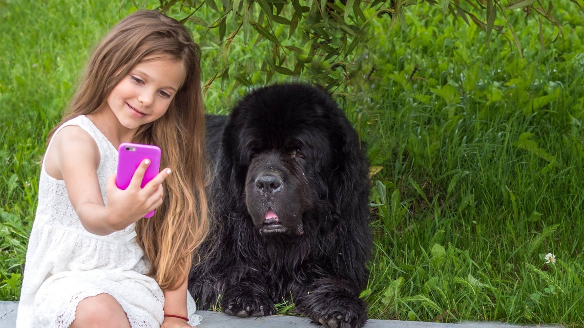 Watching This Newfoundland Walk His Human Sister to School Through the Years Is Bittersweet 