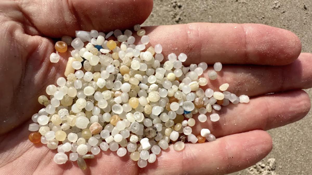 A snapshot of “nurdles” collected from Galveston, Texas, shorelines shows the condition of these plastics as they weather in the marine environment. Nurdles, the tiny plastic pellets that are the basic building blocks of nearly all plastic products, are polluting beaches and waterways around the country. (Turtle Island Restoration Network/TNS)
