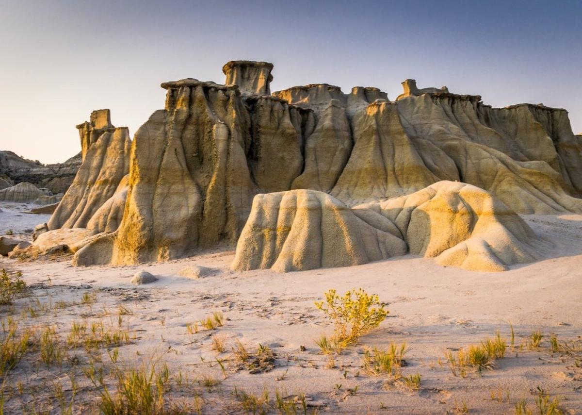  Laurens Hoddenbagh // Shutterstock 