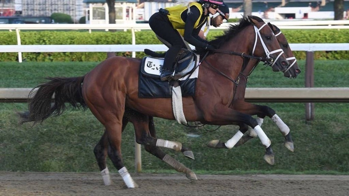 'Wish The Race Was Today': Renegade Pleases In Final Travers Tuneup 