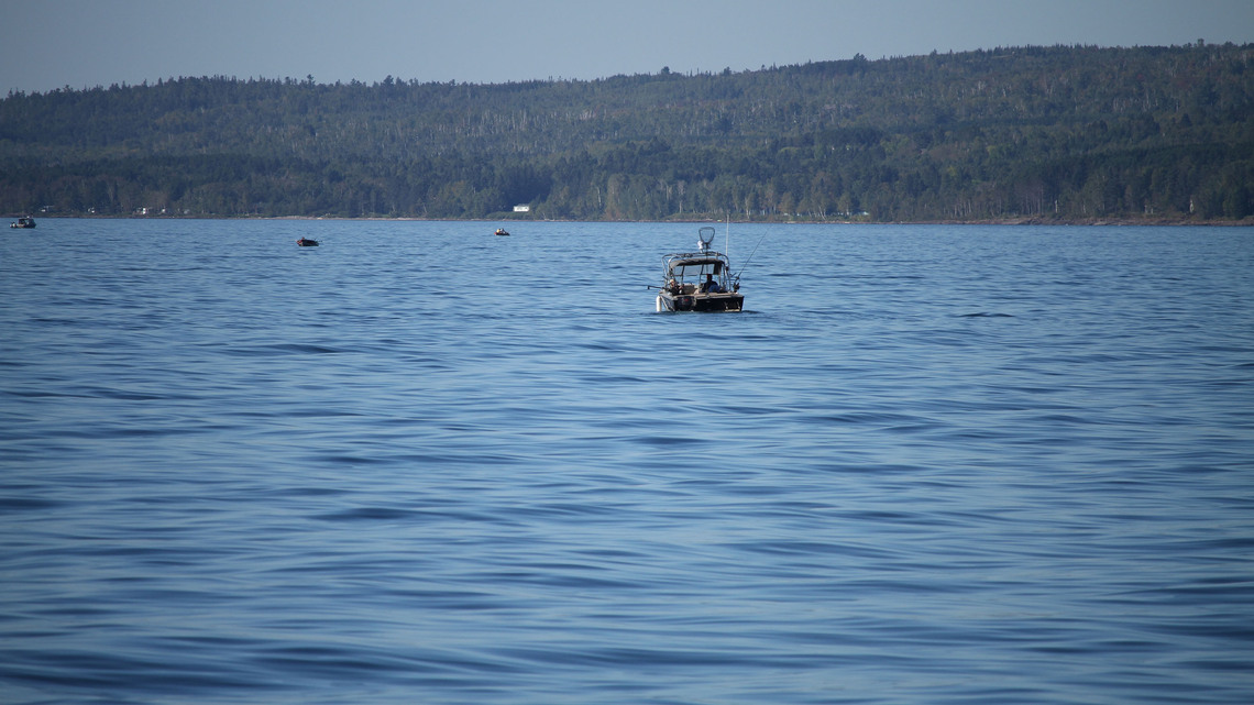 Something's going on with these Lake Superior lake trout 