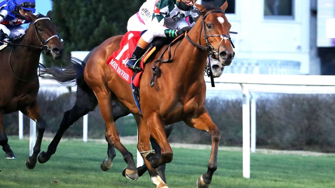 Lush Lips Headlines Ellis Park Turf Stakes On Closing Day 