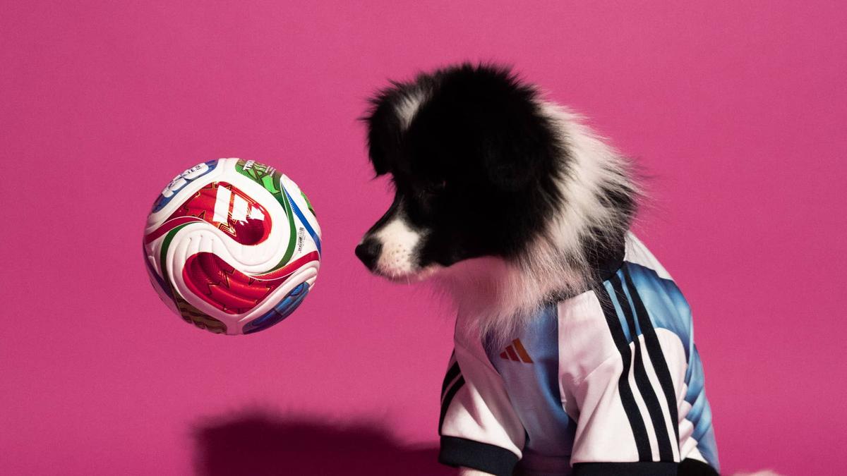  adidas world cup pet jersey.