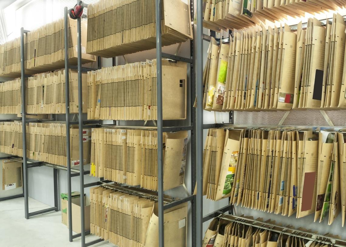  Aleksander Krsmanovic // Shutterstock 