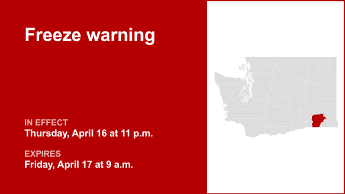 unitedrobots photography