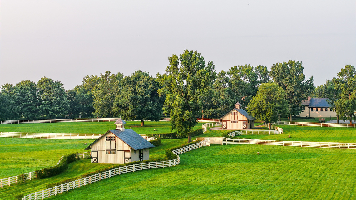 Lexington's Castleton Lyons to be auctioned at Keeneland Championship Sale 