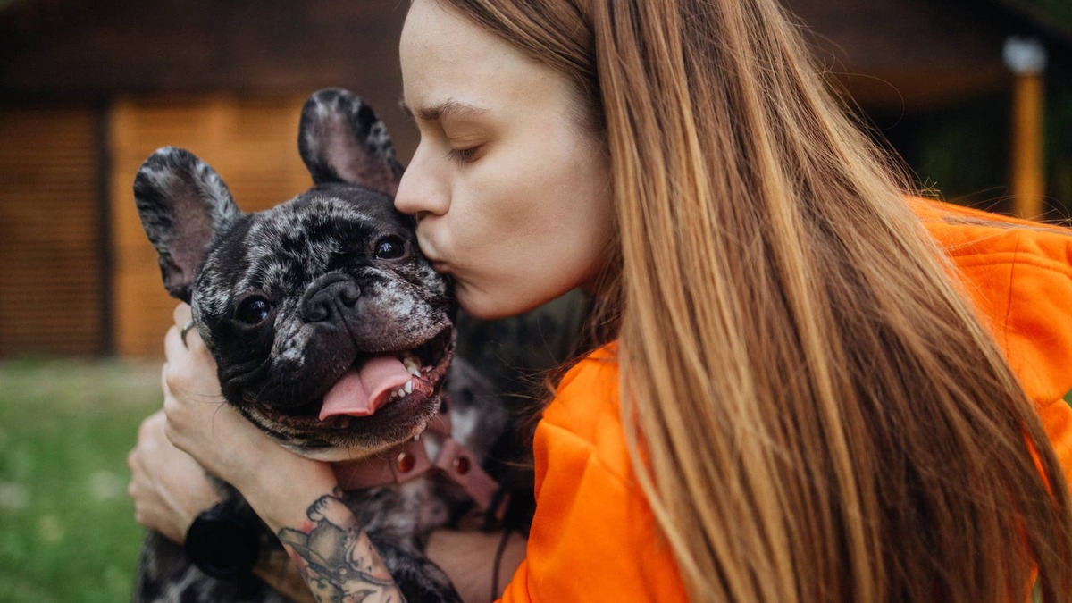 French Bulldogs are full of silly, expressive moments like this. 